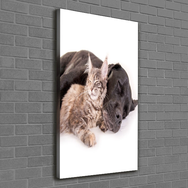 Verticaal schilderij op canvas Hond en kat