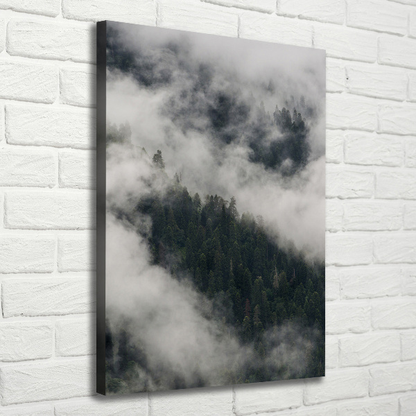 Verticaal schilderij op canvas Een wolk boven het bos