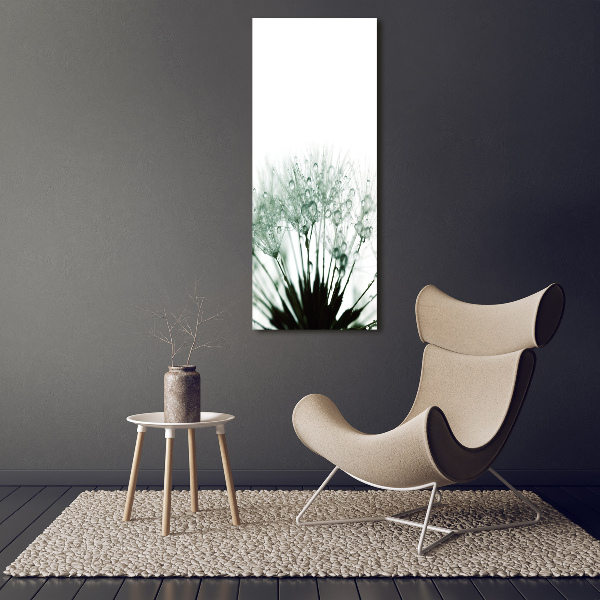 Verticale foto op canvas Paardenbloemzaden