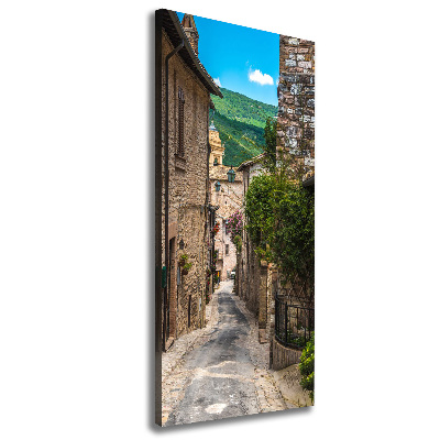 Foto obraz na płótnie pionowy Urokliwa uliczka