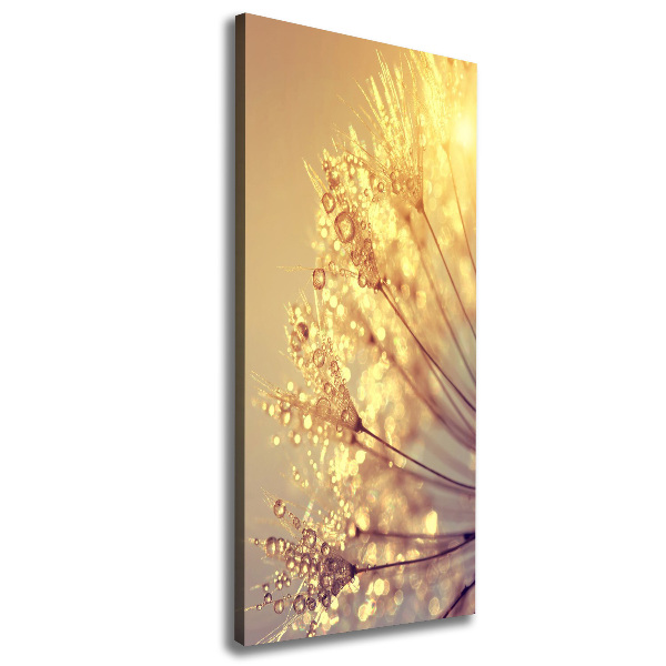 Foto obraz na płótnie pionowy Nasiona dmuchawca