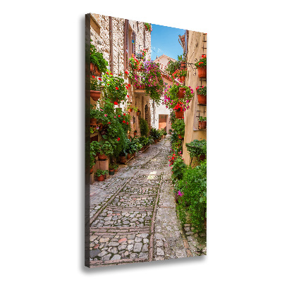 Verticale foto op canvas Umbrië, Italië