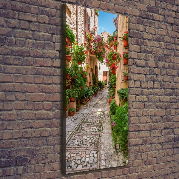 Verticale foto op canvas Umbrië, Italië