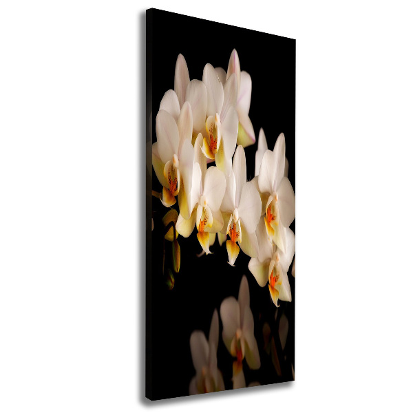 Verticale foto op canvas Orchidee
