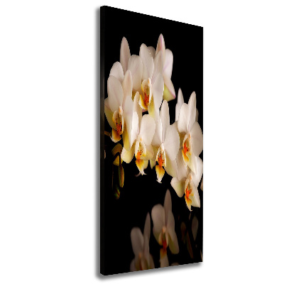 Verticale foto op canvas Orchidee