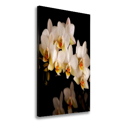 Verticale foto op canvas Orchidee