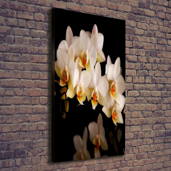 Verticale foto op canvas Orchidee