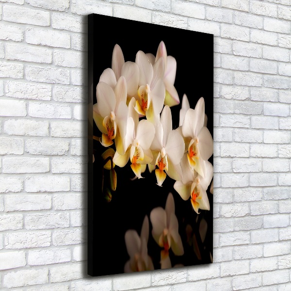 Verticale foto op canvas Orchidee