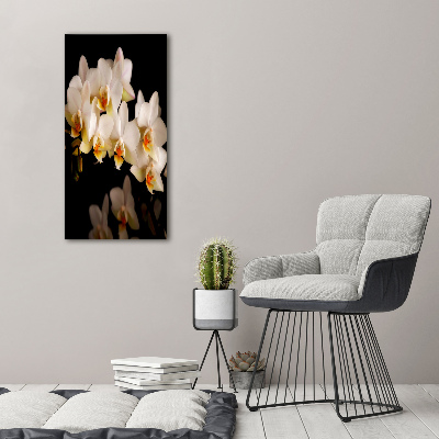 Verticale foto op canvas Orchidee