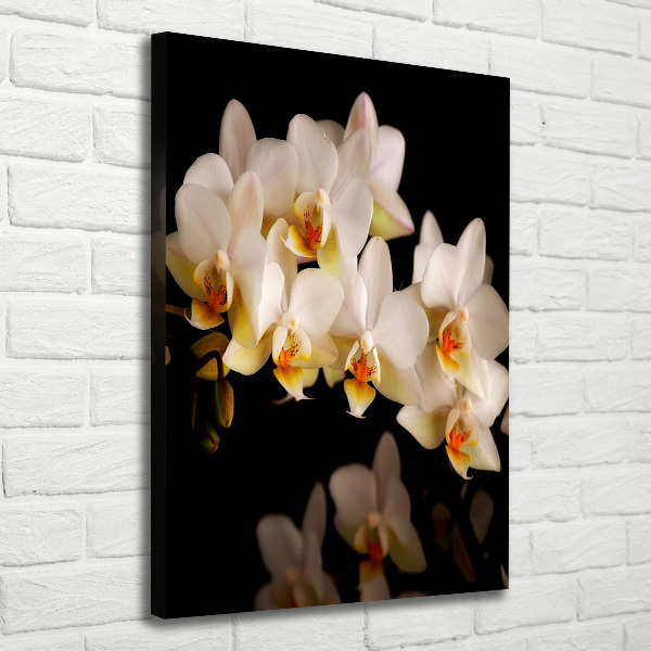 Verticale foto op canvas Orchidee