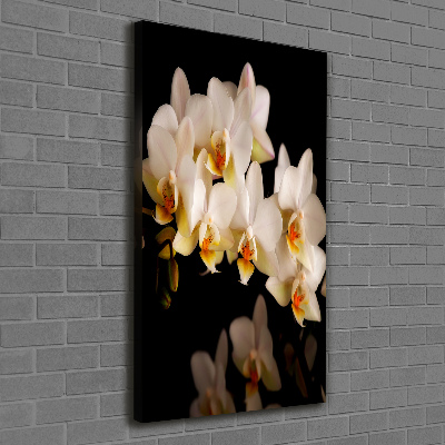 Verticale foto op canvas Orchidee