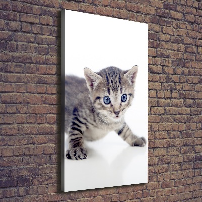 Verticale foto op canvas Kleine kat