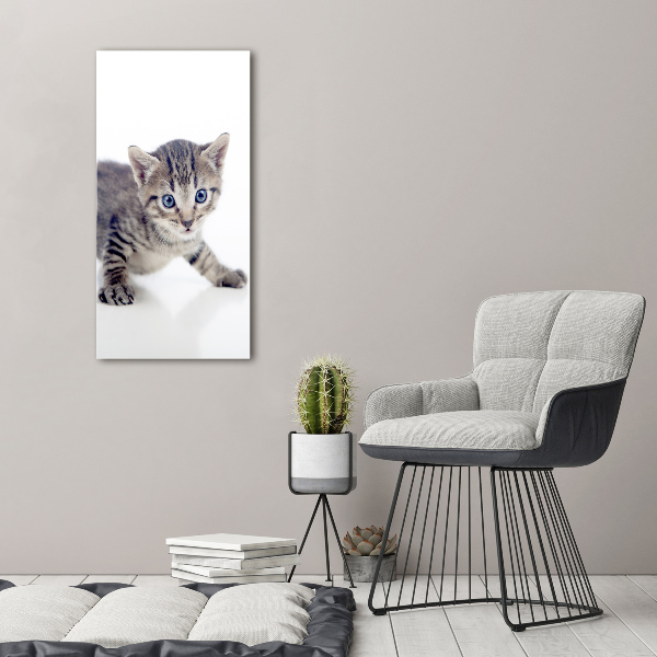 Verticale foto op canvas Kleine kat