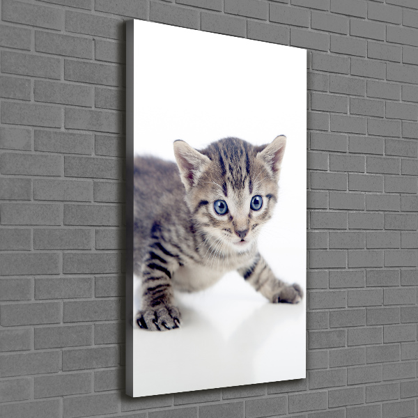 Verticale foto op canvas Kleine kat