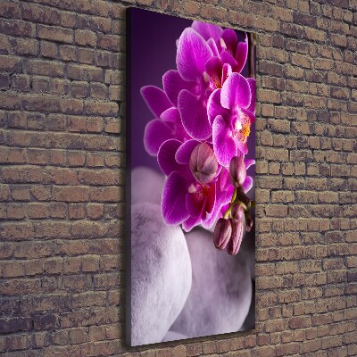 Verticale canvasfoto Roze orchidee