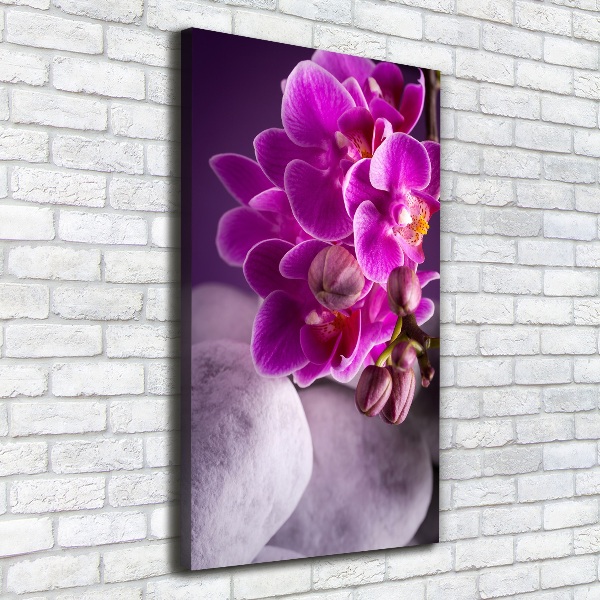 Verticale canvasfoto Roze orchidee