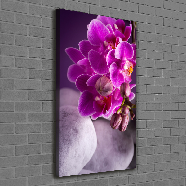 Verticale canvasfoto Roze orchidee