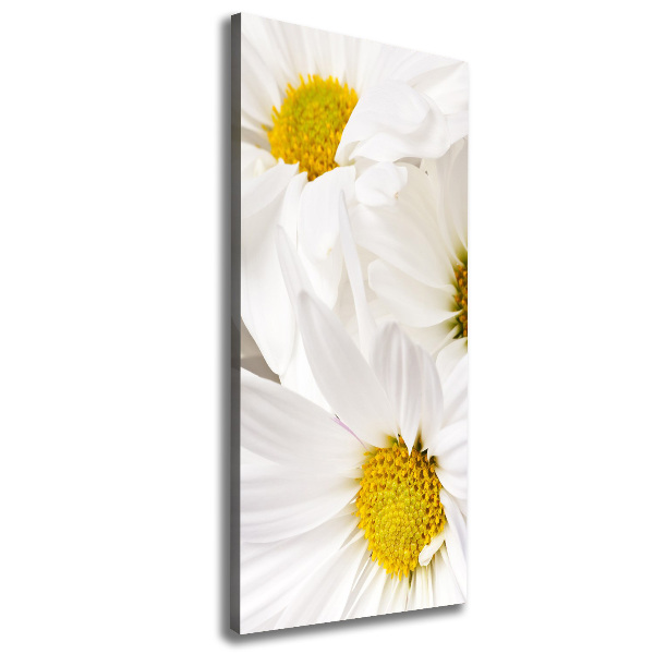 Verticaal schilderij op canvas Madeliefjes