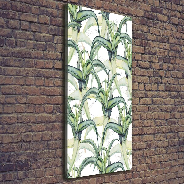 Verticale foto op canvas Aloë