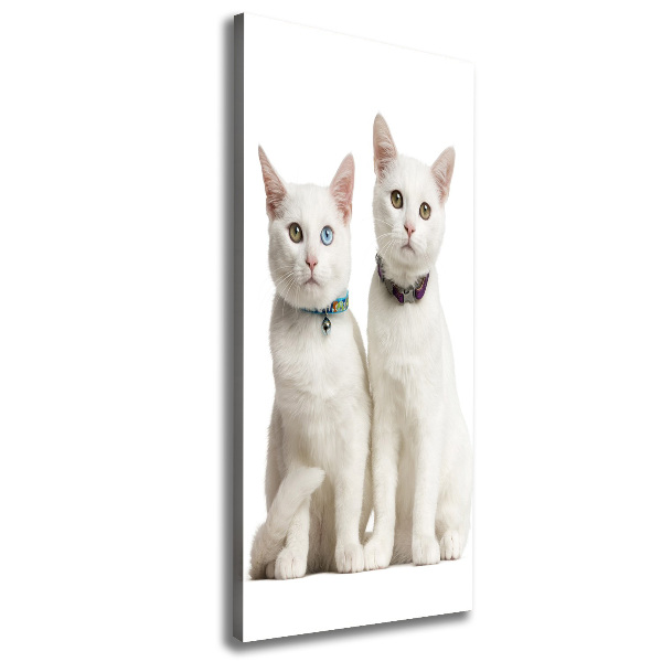 Verticale foto op canvas Twee witte katten
