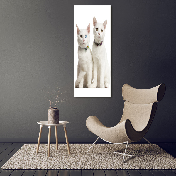 Verticale foto op canvas Twee witte katten