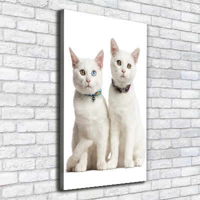 Verticale foto op canvas Twee witte katten