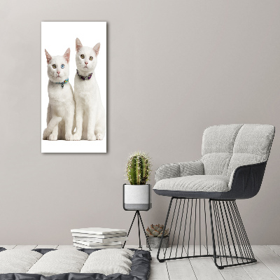 Verticale foto op canvas Twee witte katten