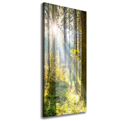 Verticaal canvasschilderij De zon in het bos