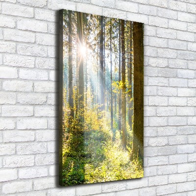 Verticaal canvasschilderij De zon in het bos