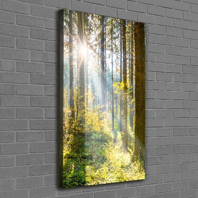 Verticaal canvasschilderij De zon in het bos