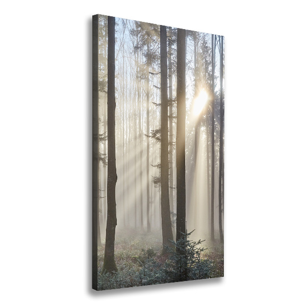Verticaal canvasschilderij Mist in het bos