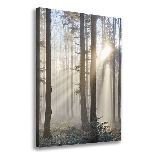 Verticaal canvasschilderij Mist in het bos
