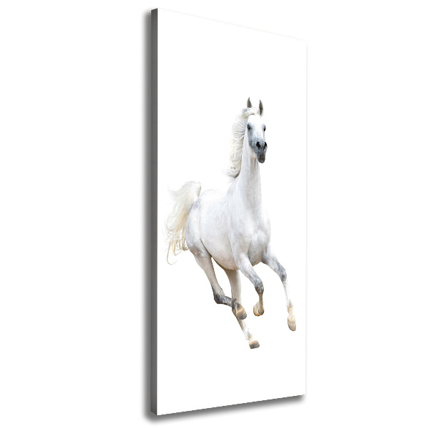 Verticale canvasfoto Een wit paard in galop