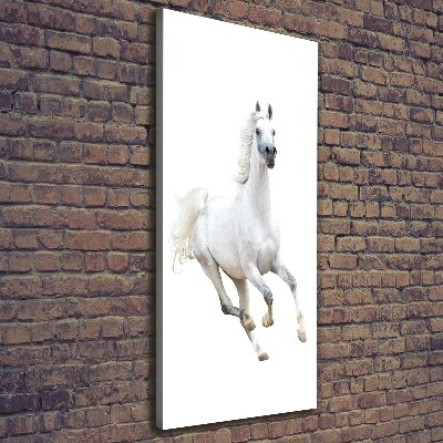 Verticale canvasfoto Een wit paard in galop