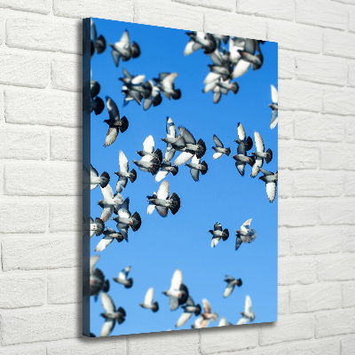 Verticale foto op canvas Duiven in de lucht