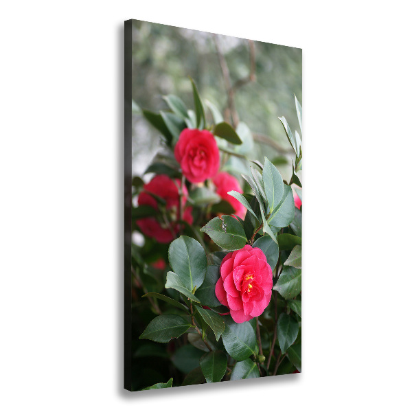 Verticaal canvasschilderij Camelia