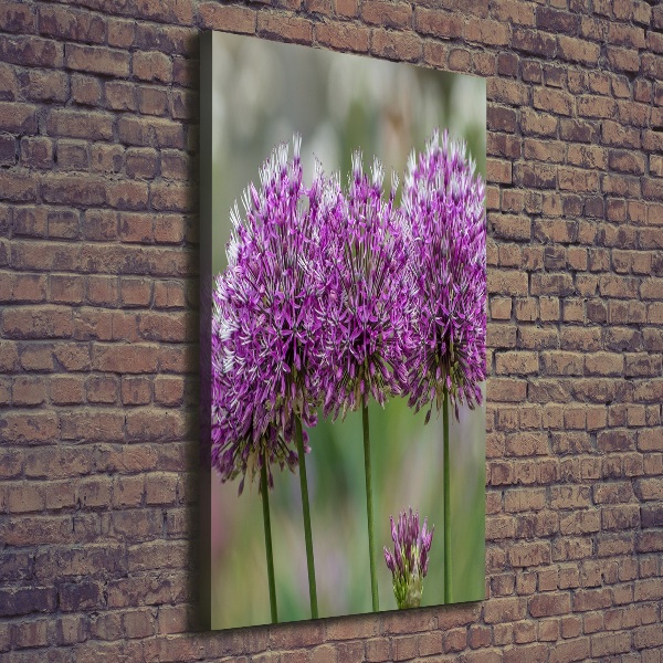 Verticaal schilderij op canvas Knoflookbloemen