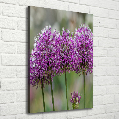 Verticaal schilderij op canvas Knoflookbloemen