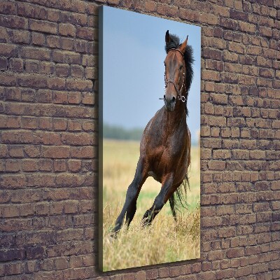 Verticaal canvasschilderij Een paard in een veld