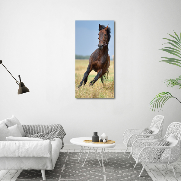 Verticaal canvasschilderij Een paard in een veld