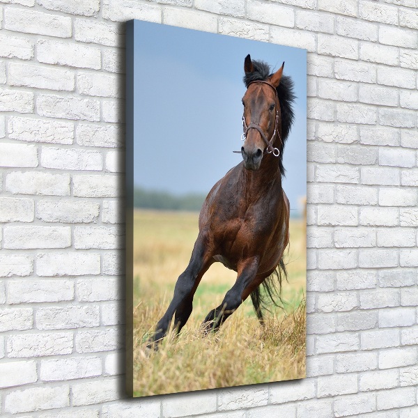 Verticaal canvasschilderij Een paard in een veld