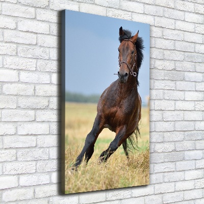 Verticaal canvasschilderij Een paard in een veld