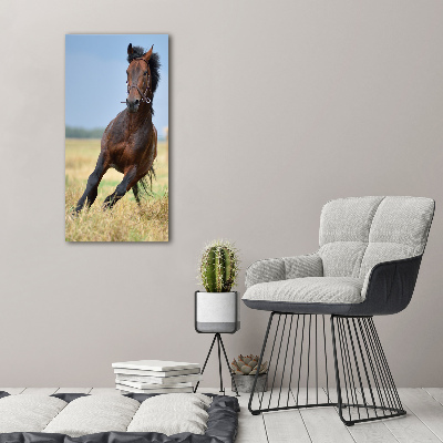 Verticaal canvasschilderij Een paard in een veld