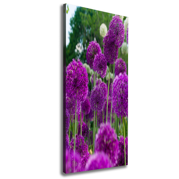 Verticale canvasfoto Knoflookbloemen