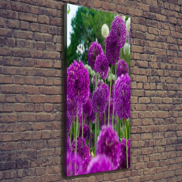 Verticale canvasfoto Knoflookbloemen