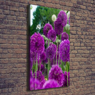 Verticale canvasfoto Knoflookbloemen