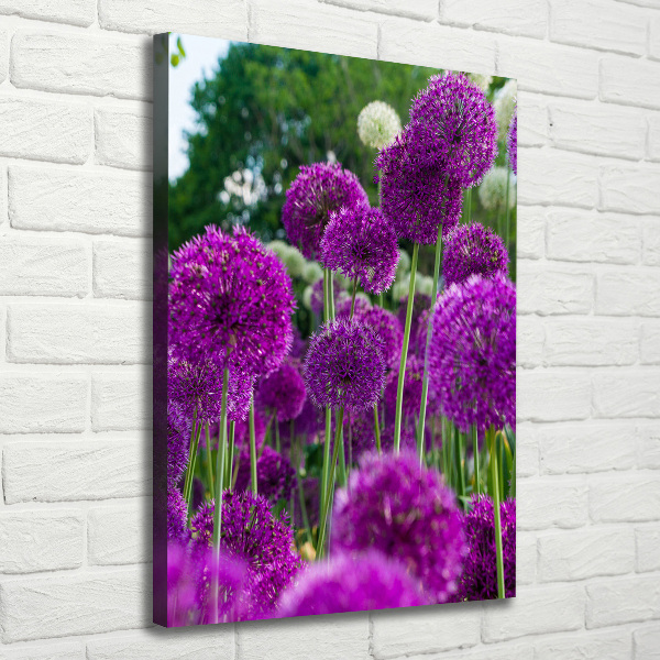 Verticale canvasfoto Knoflookbloemen
