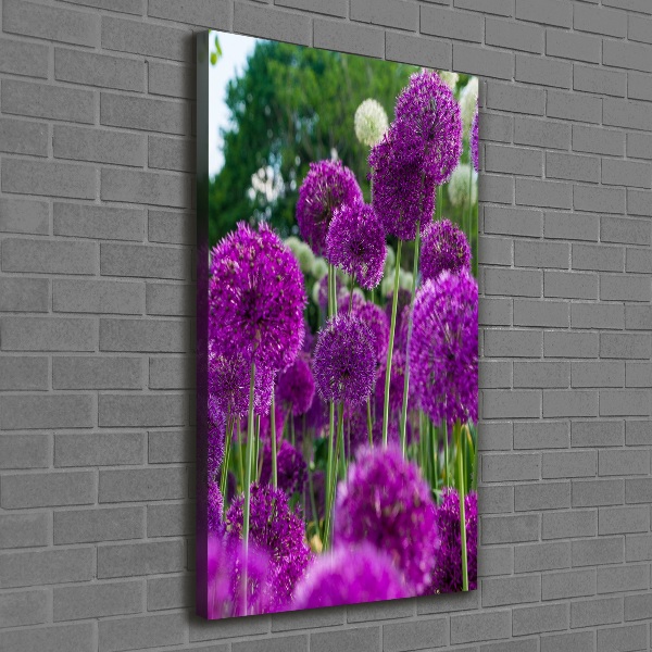 Verticale canvasfoto Knoflookbloemen
