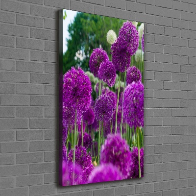 Verticale canvasfoto Knoflookbloemen