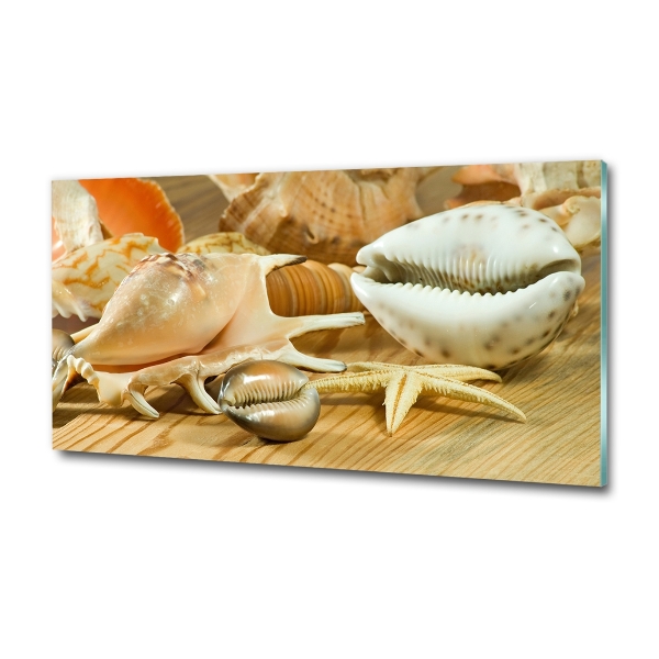 Schilderij op glas Schelpen op hout
